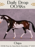 Chips OOAK Pony by Anna Rieck DDOOAKs25