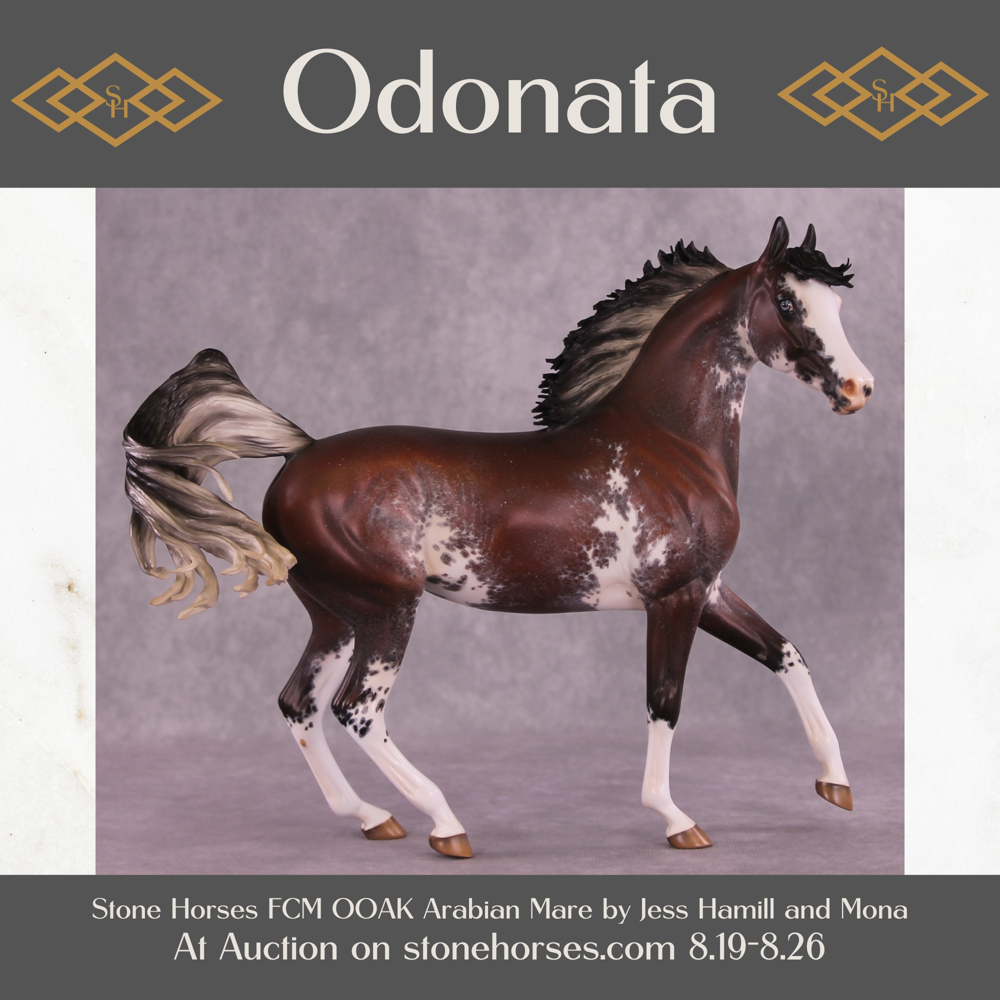 Odonata OOAK FCM Arabian Mare by Jess Hamill Best Offer 08/26/25