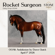 Rocket Surgeon OOAK Andalusian by Dawn Quick DDOOAKs26