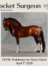 Rocket Surgeon OOAK Andalusian by Dawn Quick DDOOAKs26