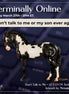 Don't Talk to Me EFCM LE-5 Andalusian by Melanie Miller TO26