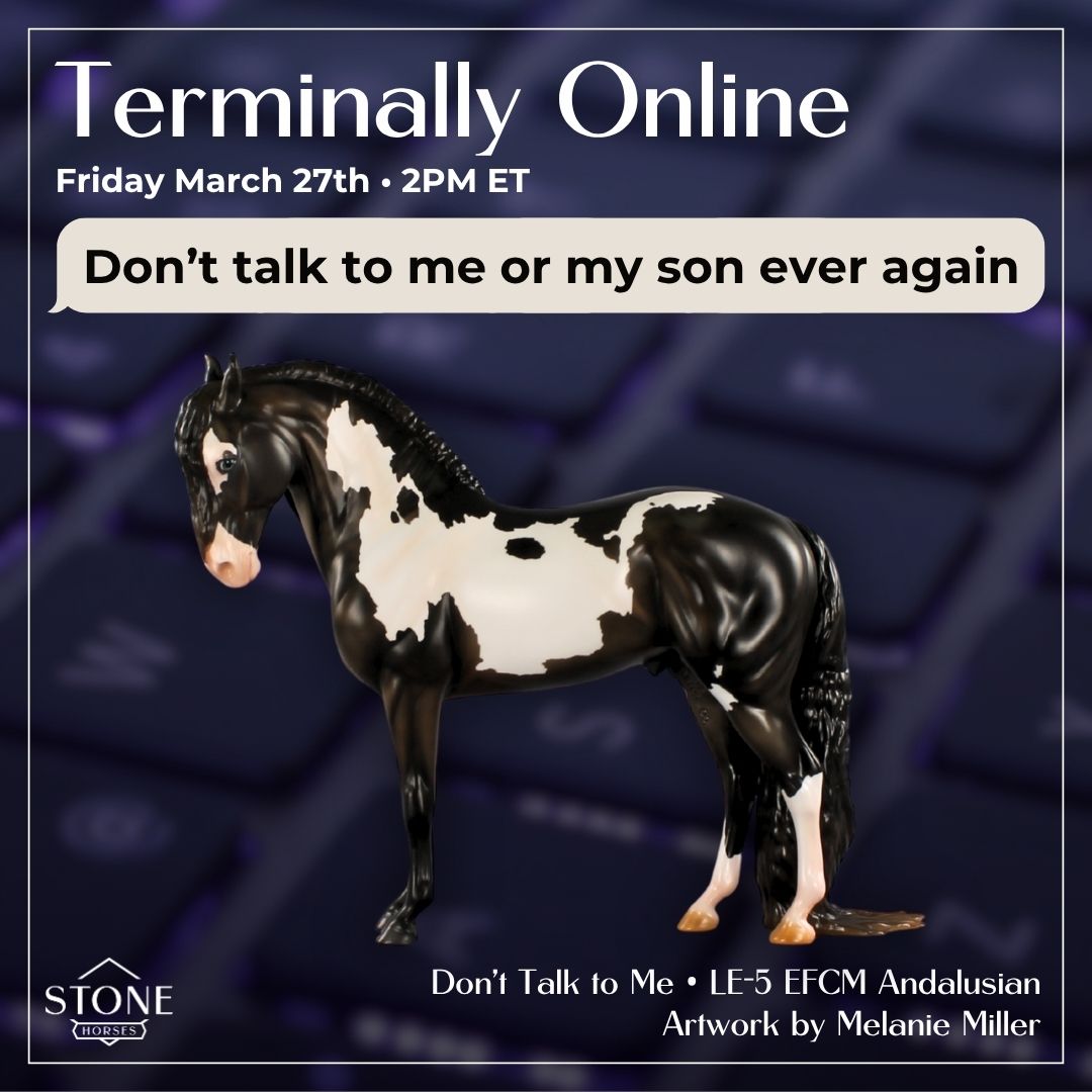 Don't Talk to Me EFCM LE-5 Andalusian by Melanie Miller TO26