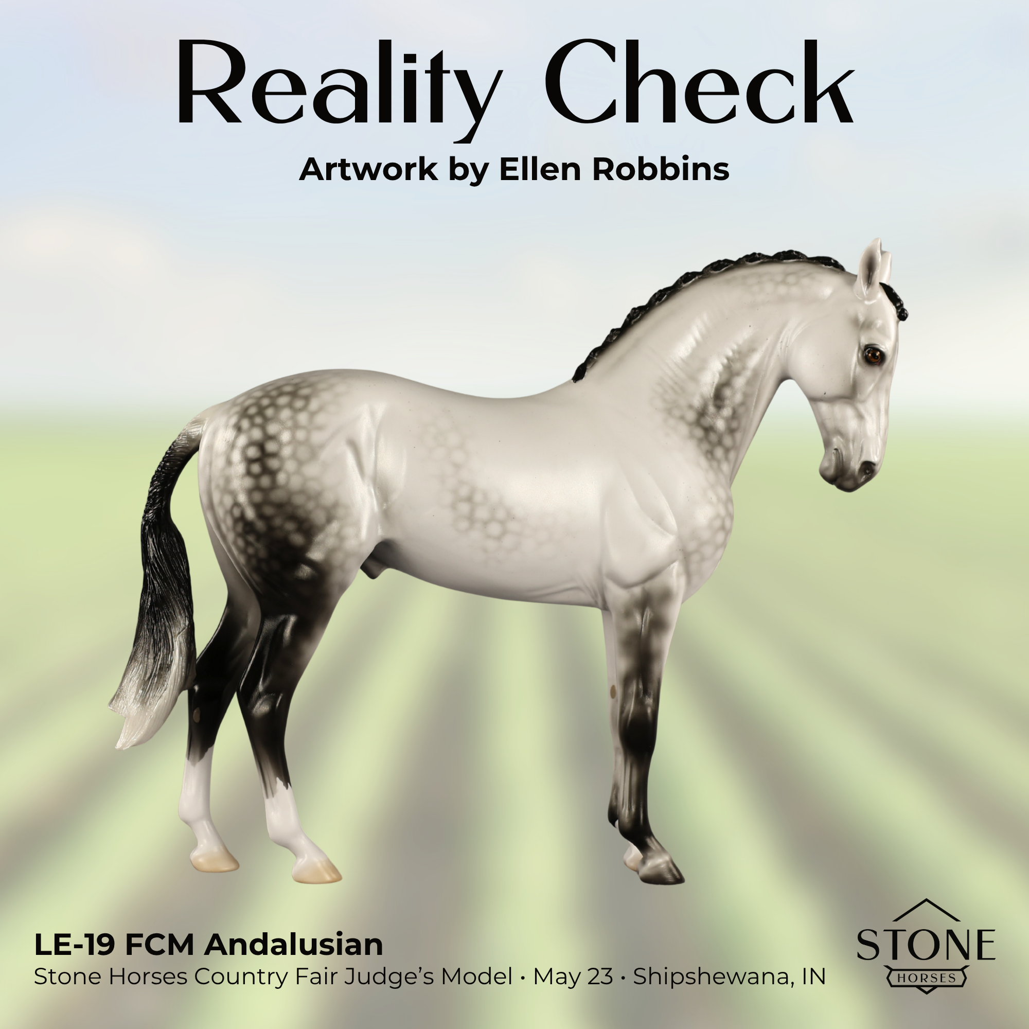 Reality Check Judges' Model LE-19 FCM Andalusian by Ellen Robbins SHCF26