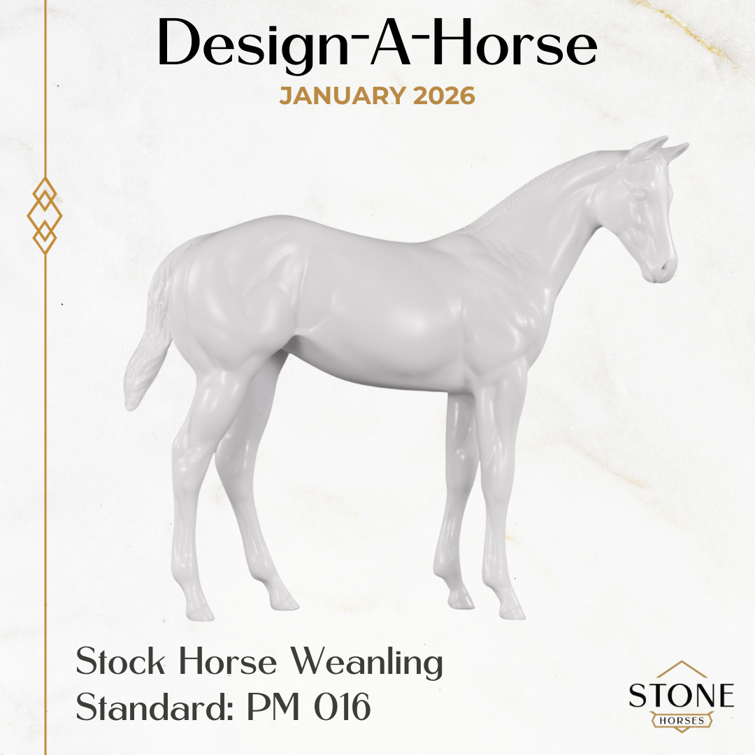 Design-A-Horse Stock Horse Weanling January Release DAH26 PM016