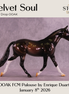 Velvet Soul OOAK FCM Palouse by Enrique Duarte DDOOAKs26