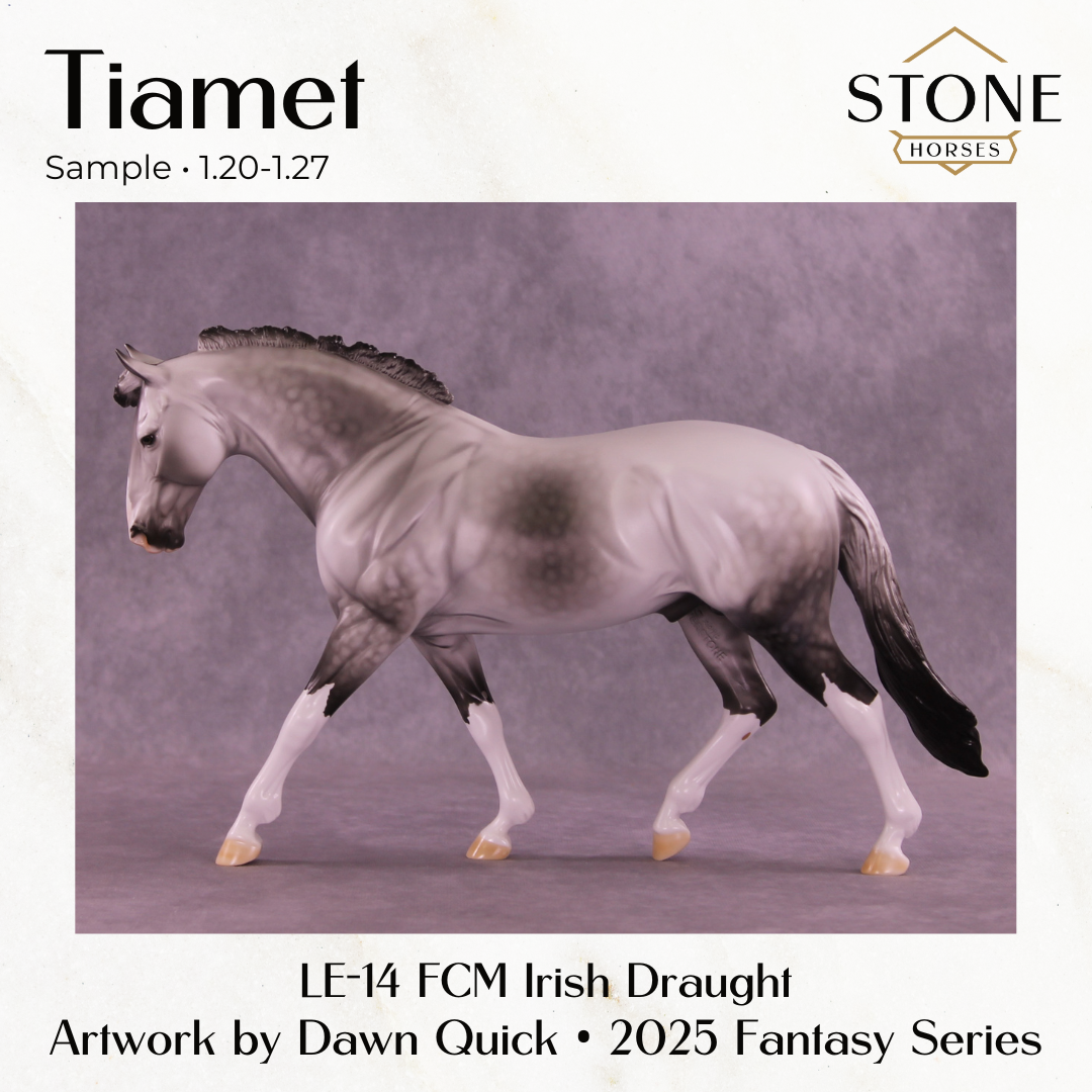 SAMPLE Tiamet LE-14 FCM Irish Draught by Dawn Quick SS0126