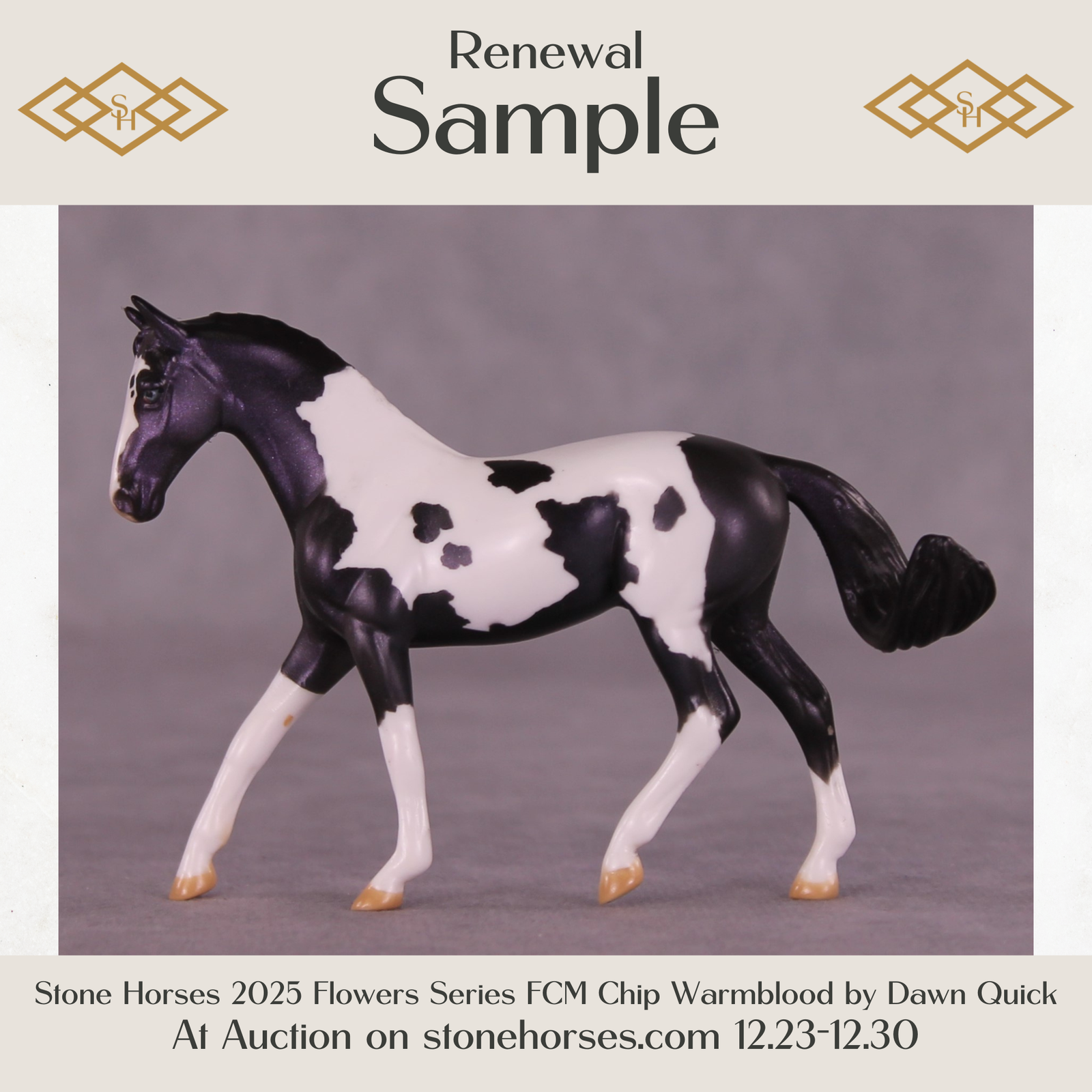 SAMPLE Renewal LE-13 FCM Chip Warmblood by Dawn Quick HS25