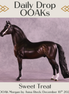 Sweet Treat OOAK Morgan by Anna Rieck DDOOAKs25