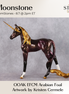 Moonstone OOAK EFCM Arabian Foal by Kristen Cermele GS26