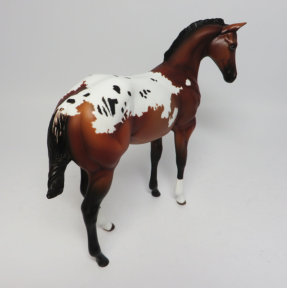 appaloosa