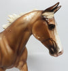 chestnut