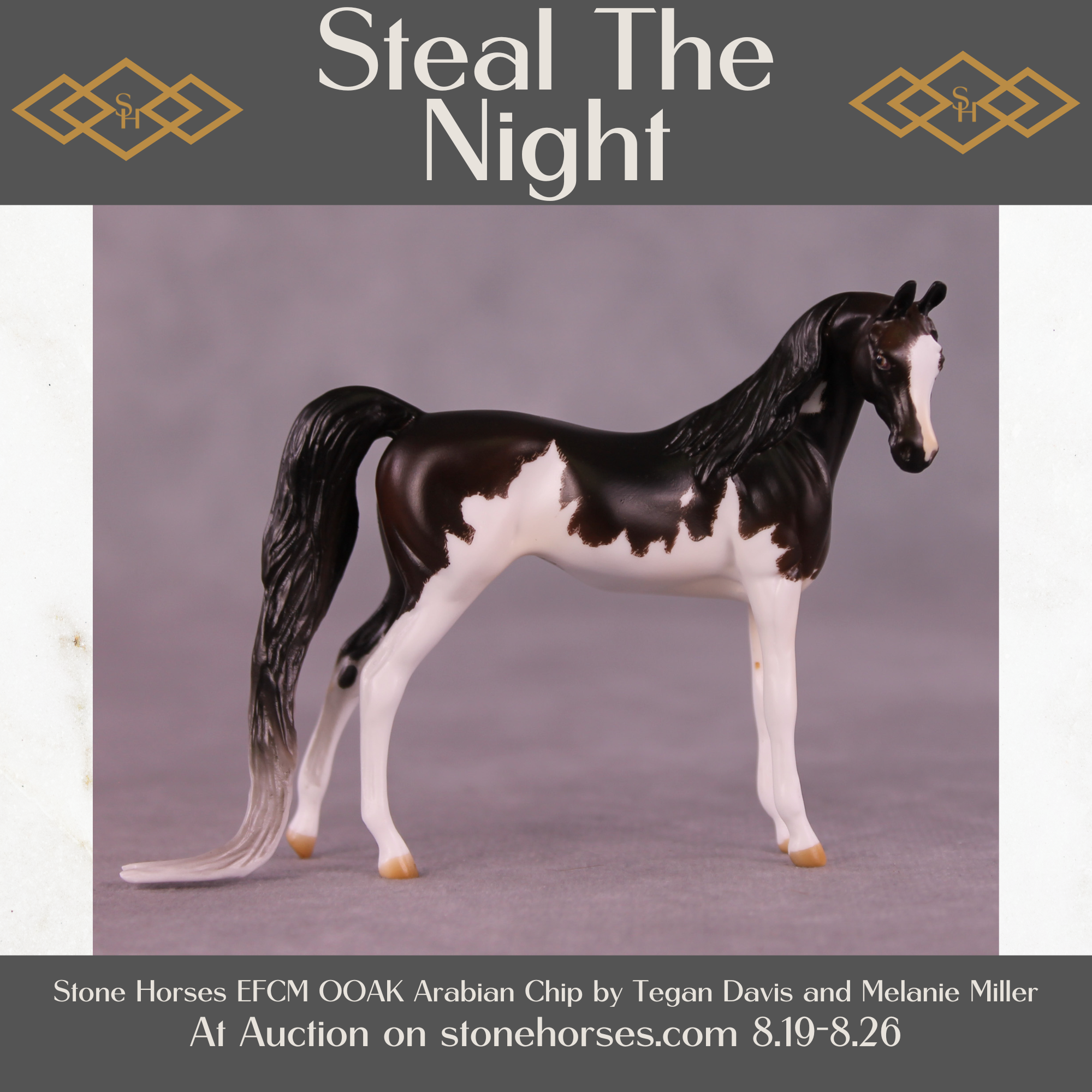Steal the Night OOAK FCM Chip Arabian by Tegan Davis SS825