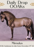 Mimulus OOAK Andalusian by Julie Keim DDOOAKs25