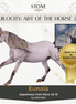Art of the Horse "Eunoia" LE-15 GLOSSY FCM Volo by Julie Keim EQ25