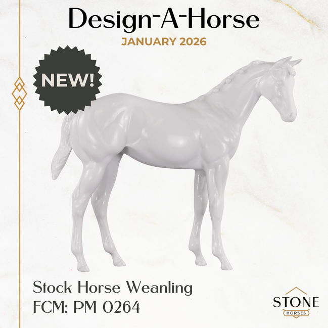 Design-A-Horse NEW FCM Stock Horse Weanling January Release DAH26 PM0264