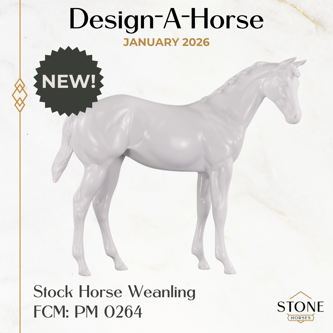 Design-A-Horse NEW FCM Stock Horse Weanling January Release DAH26 PM0264