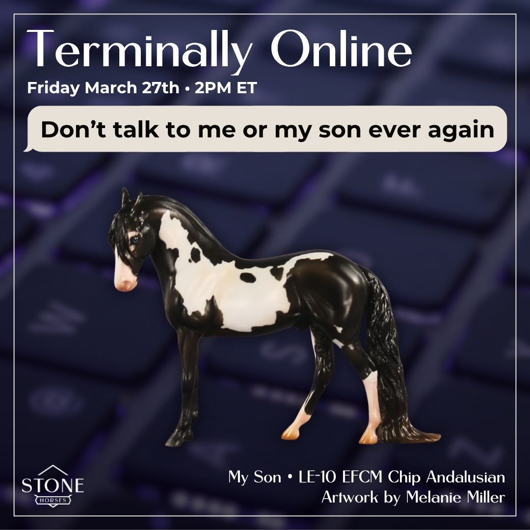 My Son EFCM LE-10 Chip Andalusian by Melanie Miller TO26