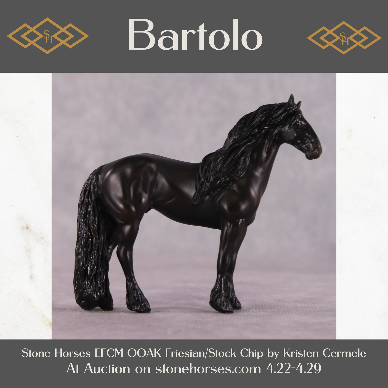 "Bartolo" EFCM Stock/Friesian Chip By Kristen Cermele