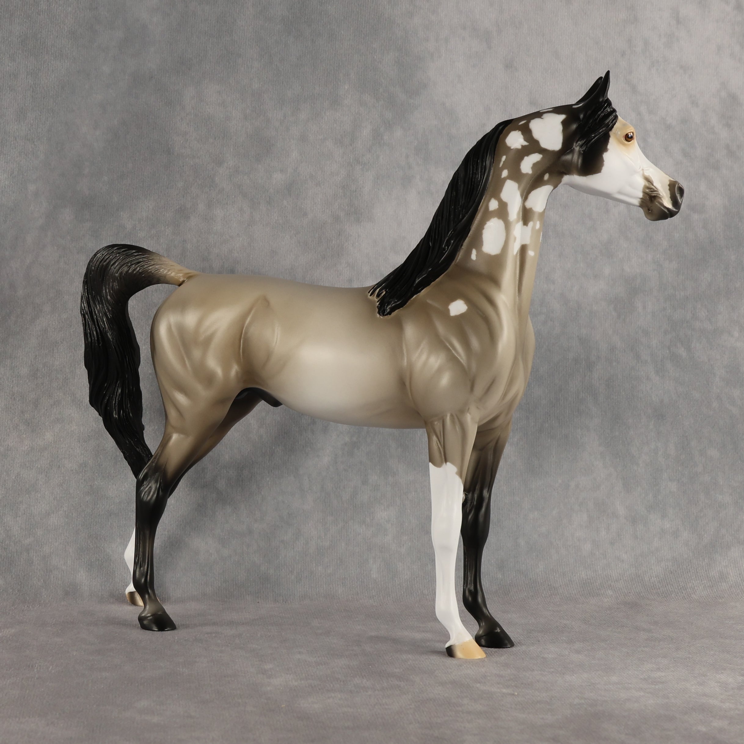 A Song of Ice and Flocks OOAK Arabian Stallion by Alex Fortman DDOOAKs26