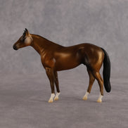 A Couple Notes OOAK Chip Stock Horse by Alex Fortman LHS26