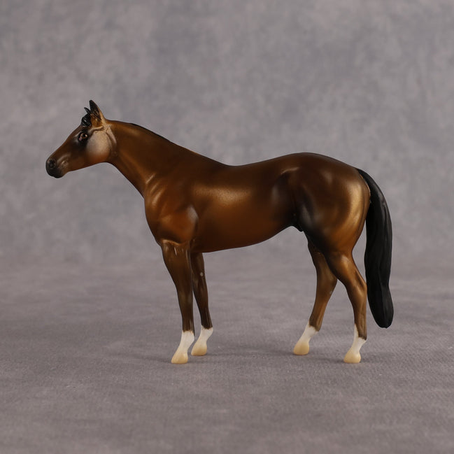 A Couple Notes OOAK Chip Stock Horse by Alex Fortman LHS26