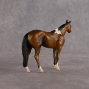 A Couple Notes OOAK Chip Stock Horse by Alex Fortman LHS26