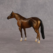 A Couple Notes OOAK Chip Stock Horse by Alex Fortman LHS26