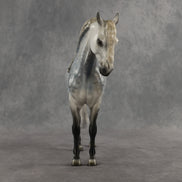 Abedul Blanco OOAK FCM Andalusian by Mindy Berg & Melanie Miller GS26