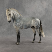 Abedul Blanco OOAK FCM Andalusian by Mindy Berg & Melanie Miller GS26