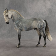 Abedul Blanco OOAK FCM Andalusian by Mindy Berg & Melanie Miller GS26