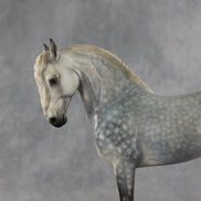 Abedul Blanco OOAK FCM Andalusian by Mindy Berg & Melanie Miller GS26