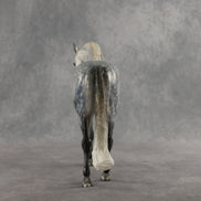 Abedul Blanco OOAK FCM Andalusian by Mindy Berg & Melanie Miller GS26