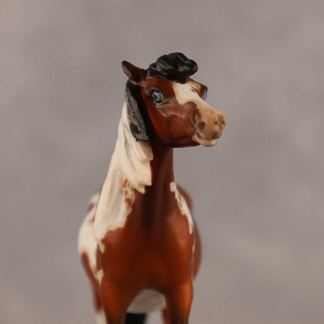 Abella OOAK EFCM Chip Pony by Jess Hamill & Melanie Miller LHS26