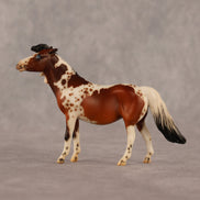 Abella OOAK EFCM Chip Pony by Jess Hamill & Melanie Miller LHS26