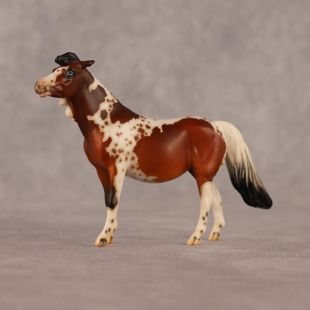 Abella OOAK EFCM Chip Pony by Jess Hamill & Melanie Miller LHS26