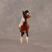 Abella OOAK EFCM Chip Pony by Jess Hamill & Melanie Miller LHS26