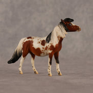 Abella OOAK EFCM Chip Pony by Jess Hamill & Melanie Miller LHS26