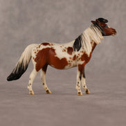 Abella OOAK EFCM Chip Pony by Jess Hamill & Melanie Miller LHS26