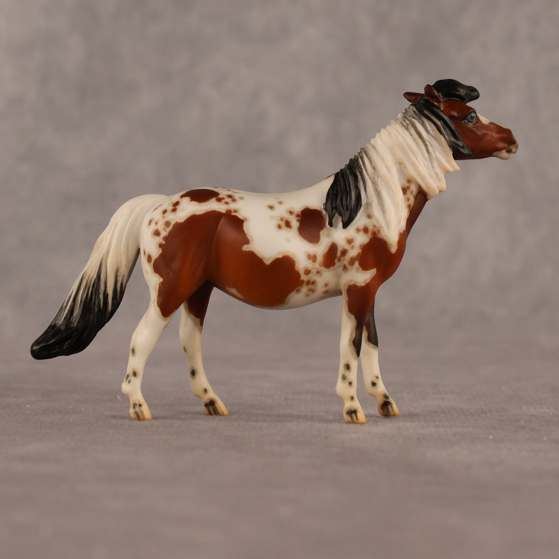 Abella OOAK EFCM Chip Pony by Jess Hamill & Melanie Miller LHS26