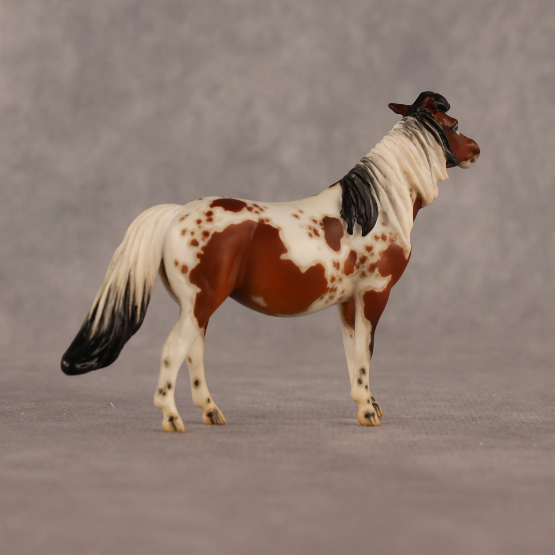 Abella OOAK EFCM Chip Pony by Jess Hamill & Melanie Miller LHS26