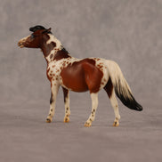 Abella OOAK EFCM Chip Pony by Jess Hamill & Melanie Miller LHS26