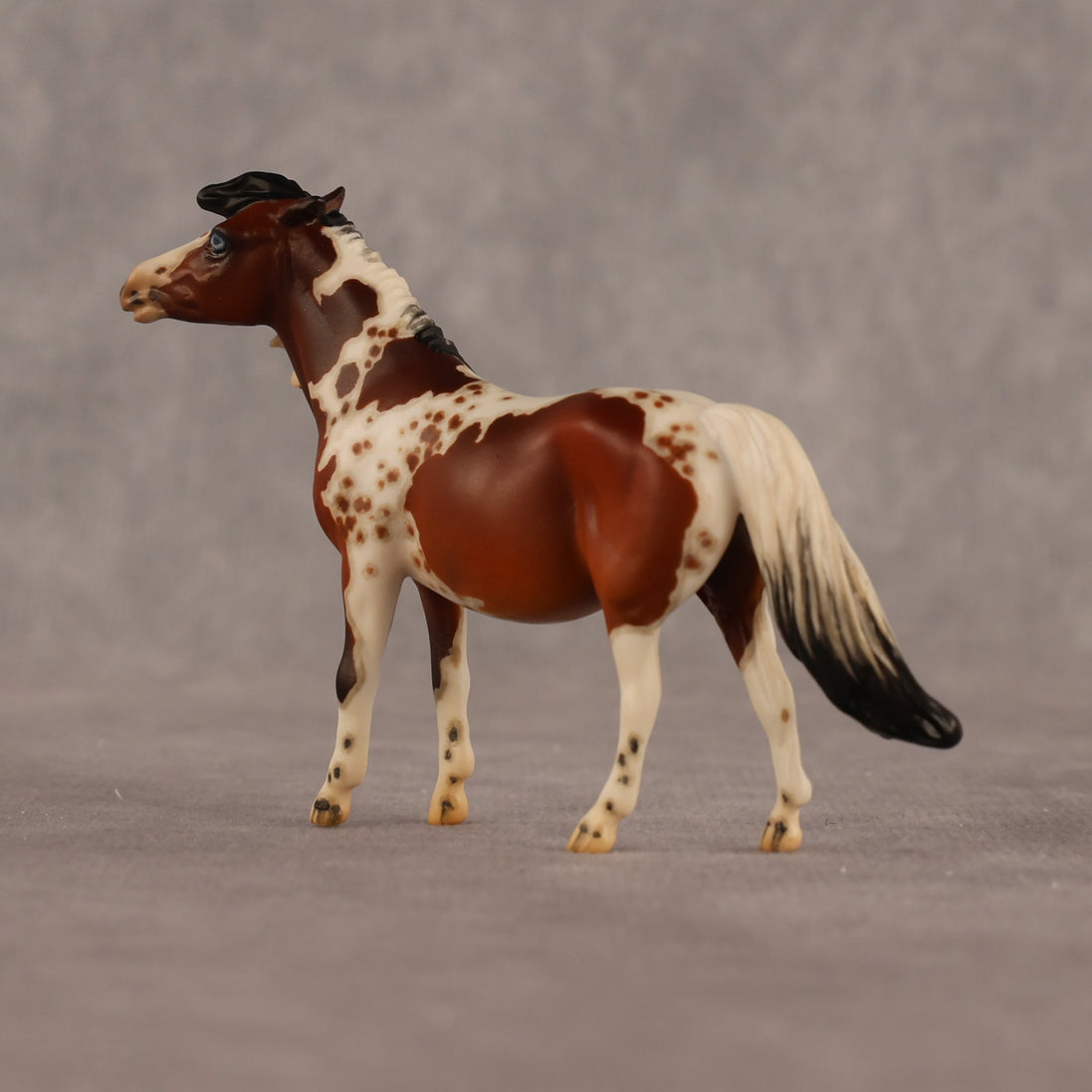 Abella OOAK EFCM Chip Pony by Jess Hamill & Melanie Miller LHS26