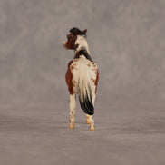 Abella OOAK EFCM Chip Pony by Jess Hamill & Melanie Miller LHS26