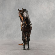Acaju OOAK FCM Andalusian by Mindy Berg & Melanie Miller GS26