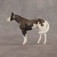 Admiral OOAK FCM Chip Stock Horse by Jess Hamill SHCF26