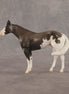 Admiral OOAK FCM Chip Stock Horse by Jess Hamill SHCF26