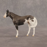 Admiral OOAK FCM Chip Stock Horse by Jess Hamill SHCF26