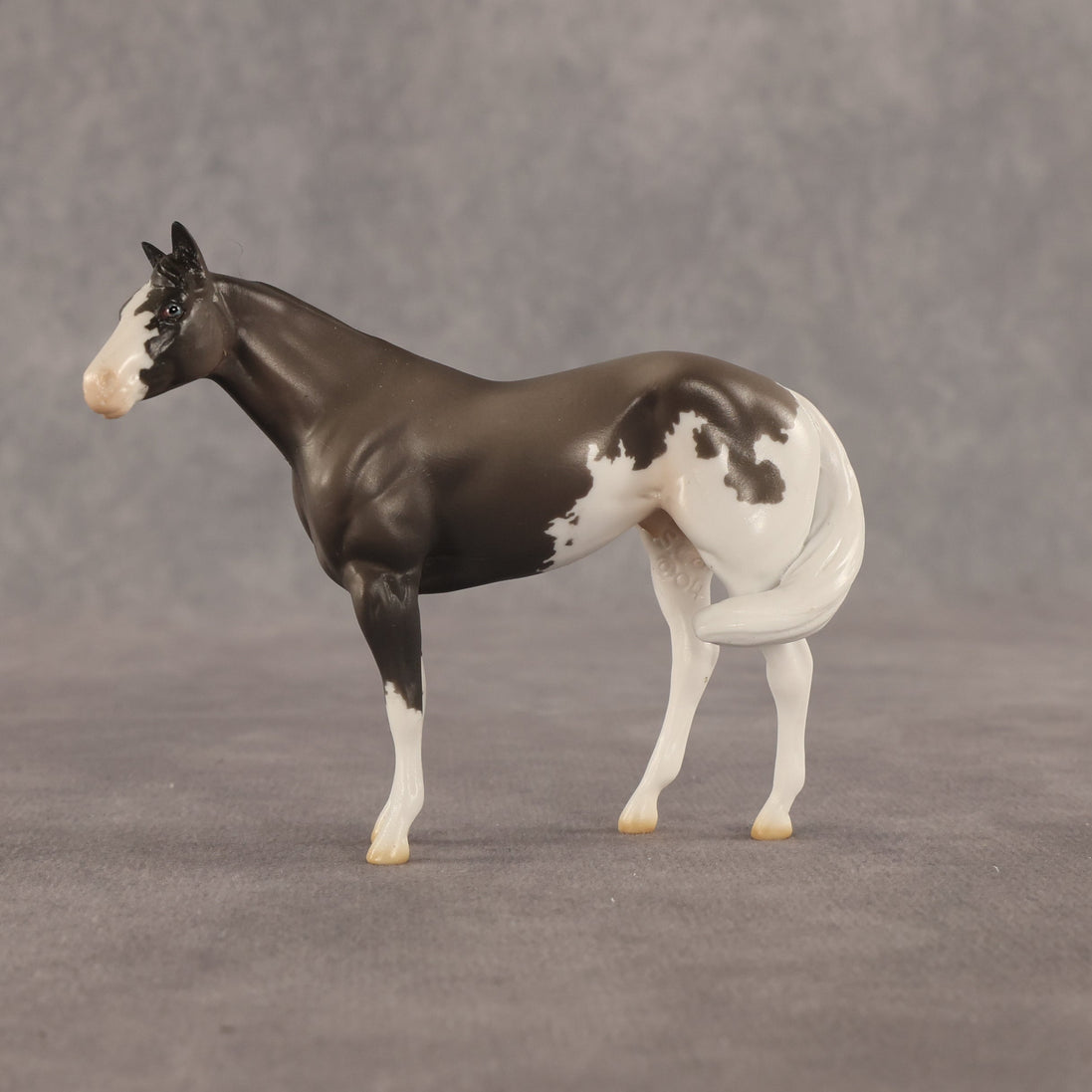 Admiral OOAK FCM Chip Stock Horse by Jess Hamill SHCF26