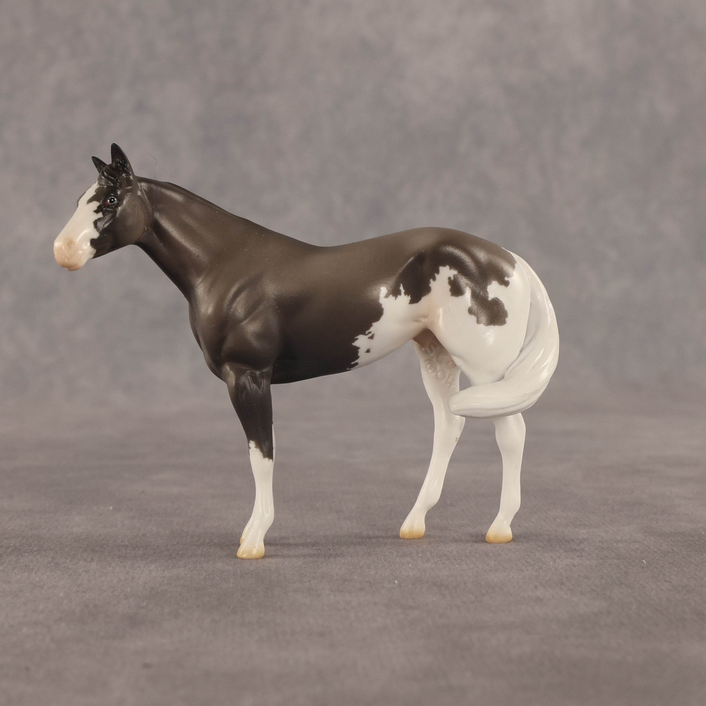 Admiral OOAK FCM Chip Stock Horse by Jess Hamill SHCF26