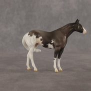 Admiral OOAK FCM Chip Stock Horse by Jess Hamill SHCF26